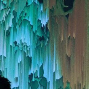 Meet your Posher, Camille